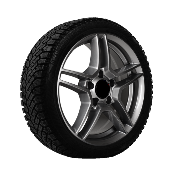 Gislaved NORDFROST 200  - Ice and snow 205/55R16 94T XL