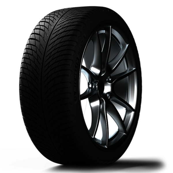 Michelin PILOT ALPIN 5  - Winter performance 295/30R20 101V XL