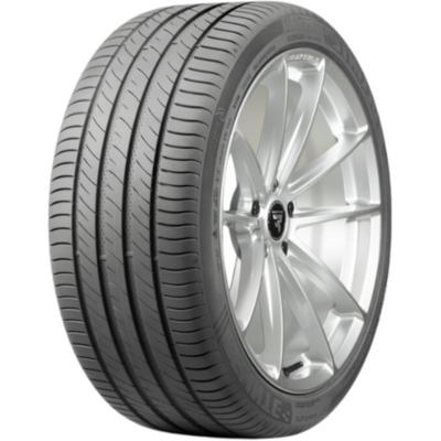 DELINTE 215/60R17 100HXL DS2 All Season