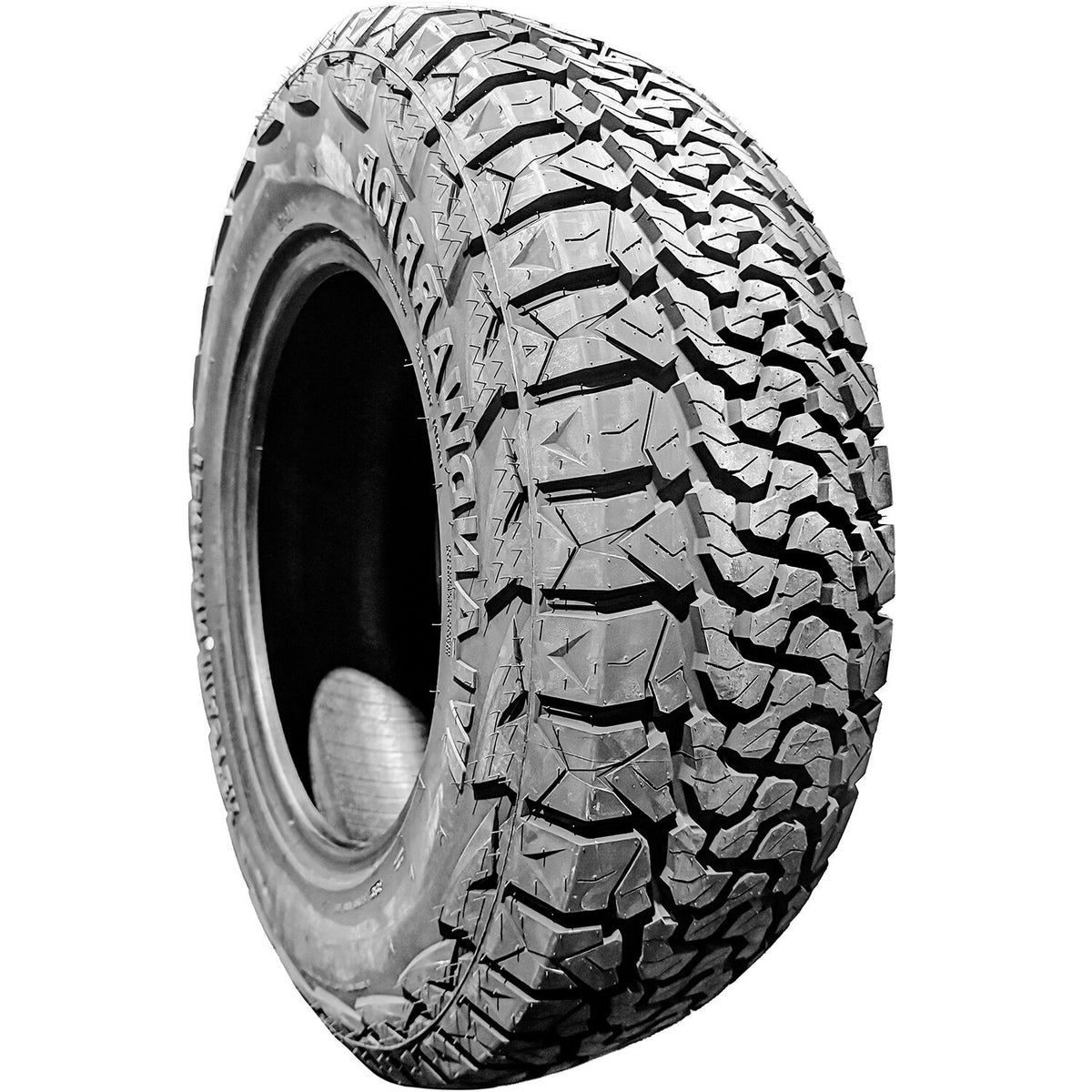 WARRIOR R700 EV 235/65R18